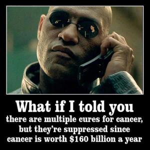 what-if-i-told-you-there-are-multiple-cures-for-cancer-but-theyre-suppressed-since-cancer-is-worth-160-billion-a-year